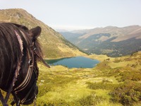Les pyrénées entre les oreilles de votre cheval!